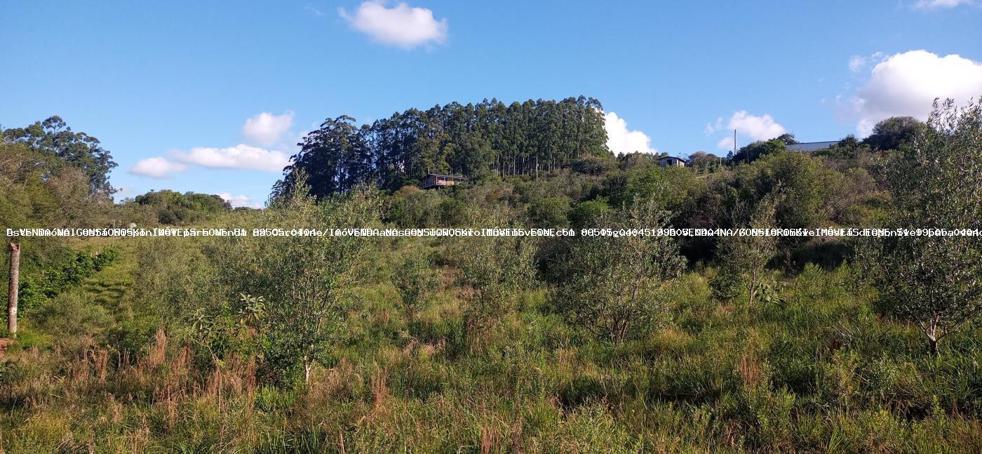 Fazenda à venda com 3 quartos, 191120m² - Foto 21