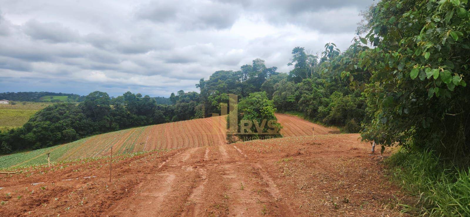 Terreno, 19 hectares - Foto 5