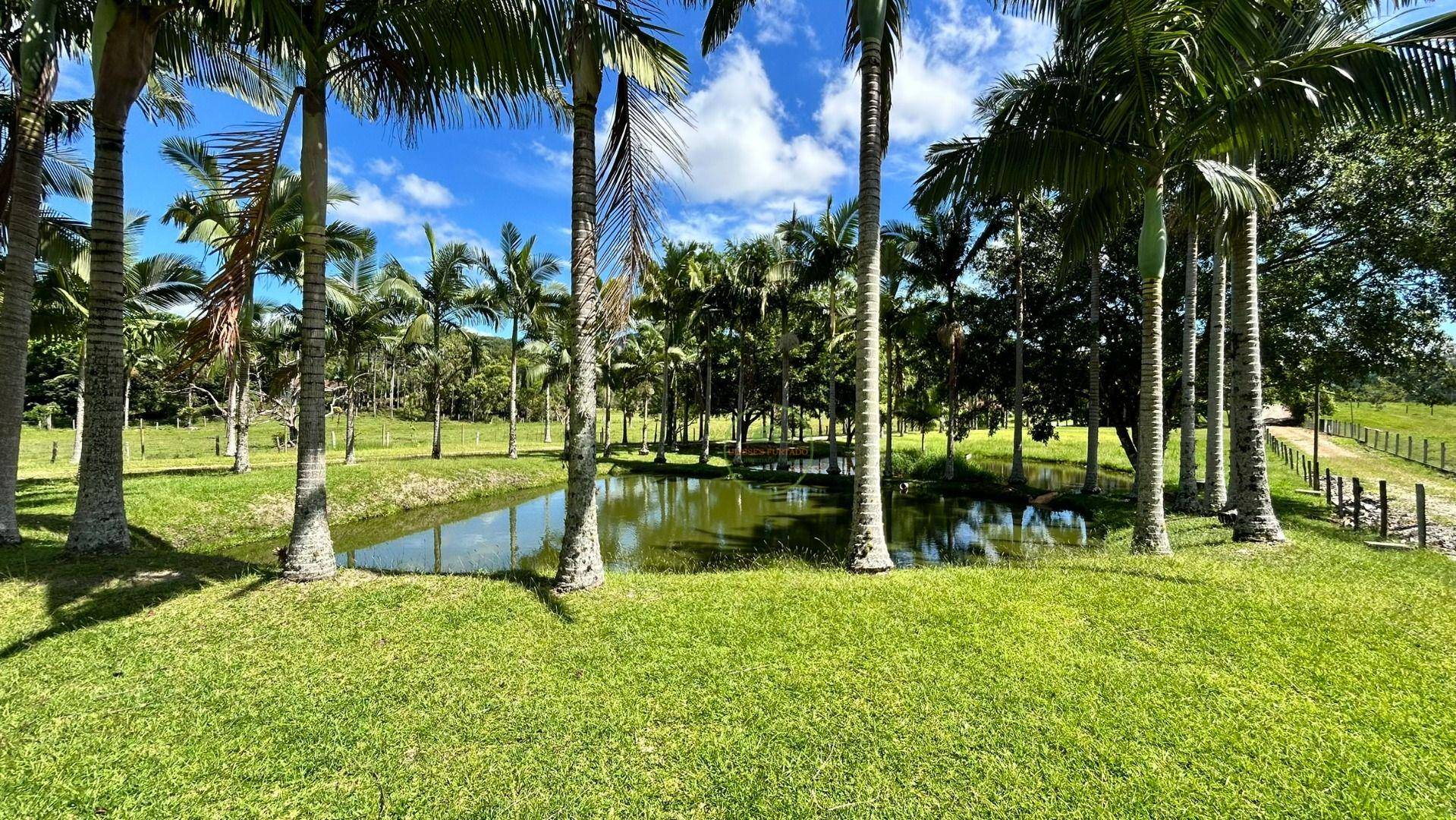 Chácara, 2 hectares - Foto 81