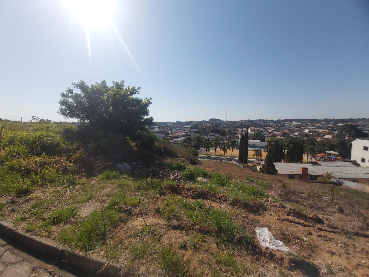 Terreno à venda, 390m² - Foto 11