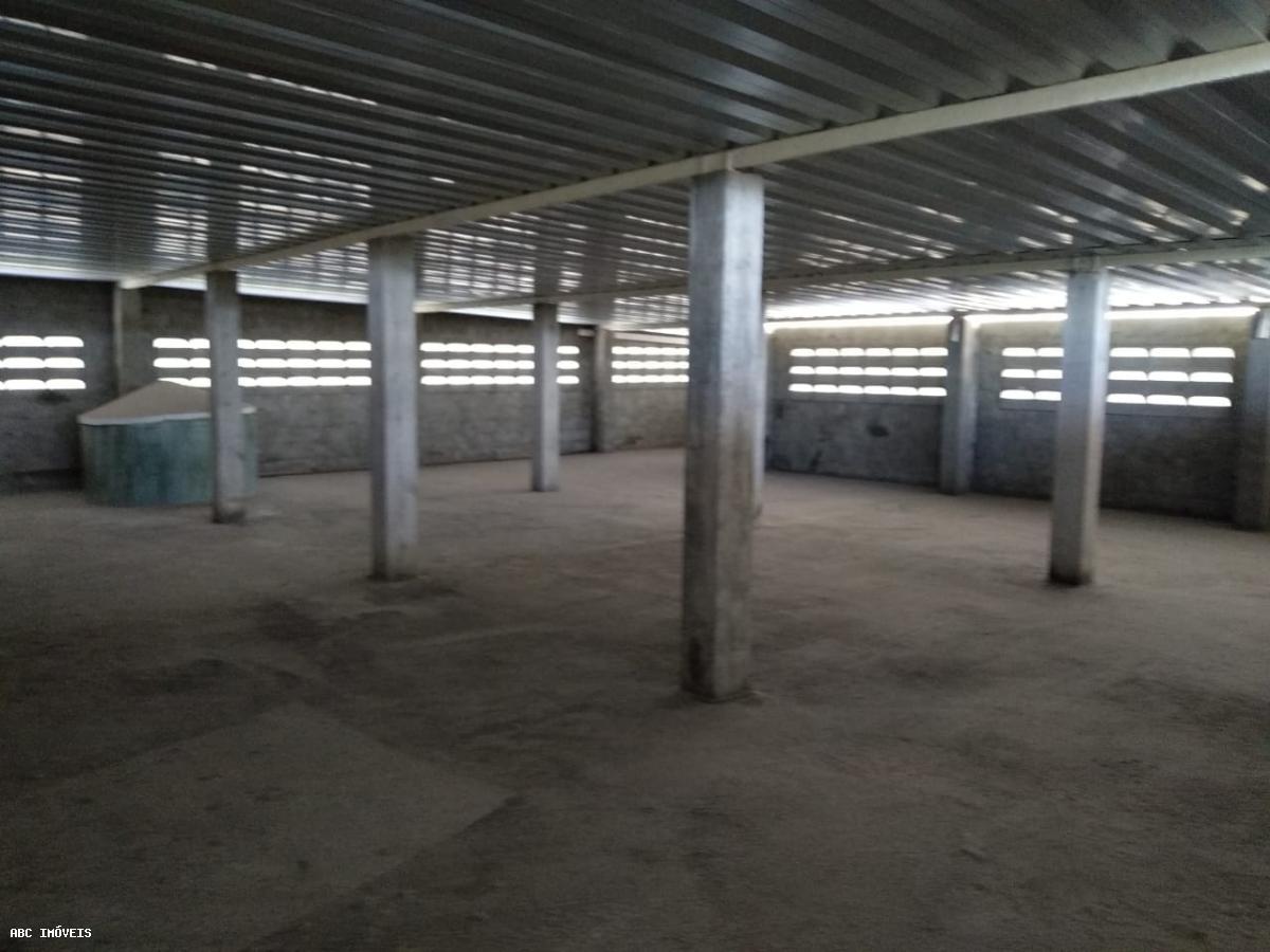 Depósito-Galpão-Armazém para alugar com 1 quarto, 600m² - Foto 6