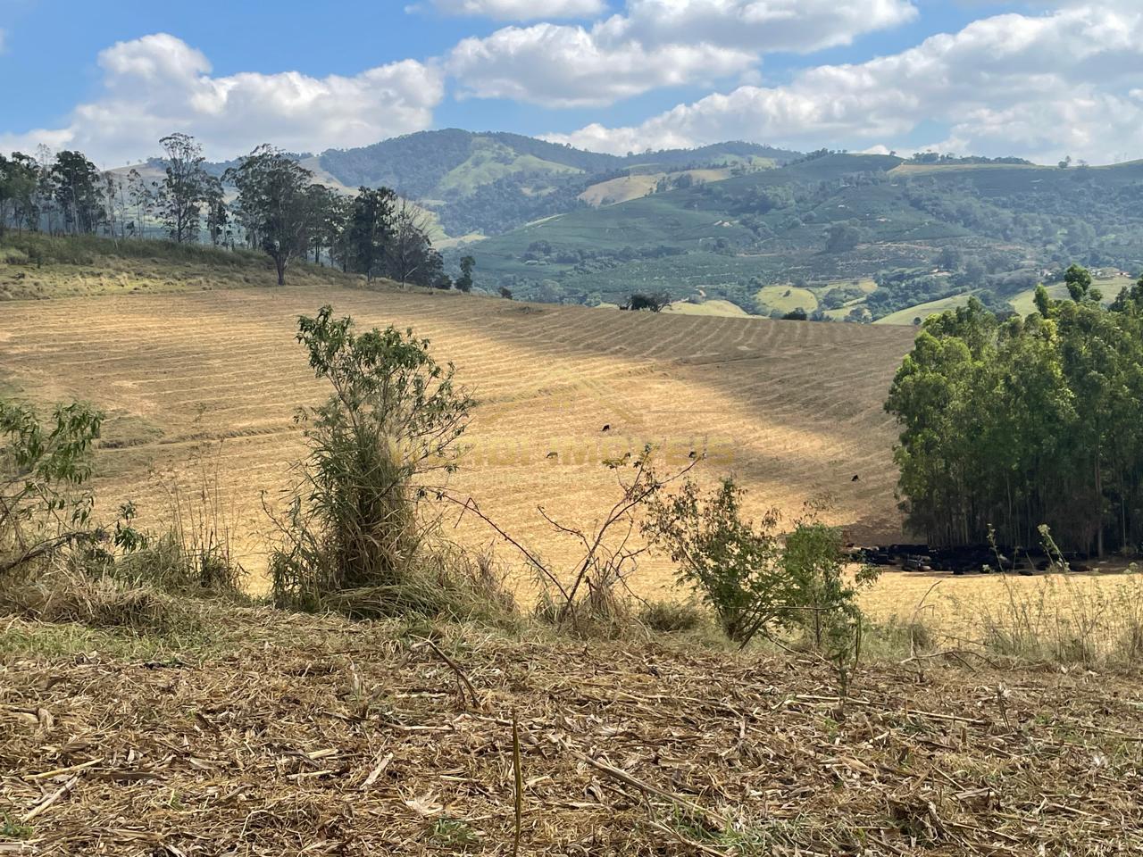 Fazenda à venda, 220m² - Foto 3