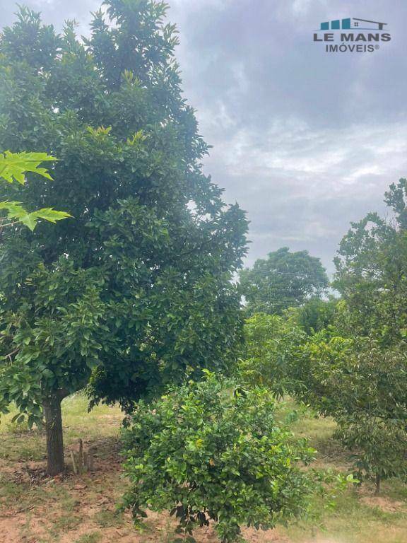 Loteamento e Condomínio à venda, 1000M2 - Foto 5