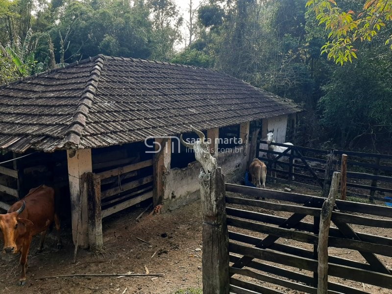 Fazenda à venda com 2 quartos, 1m² - Foto 11