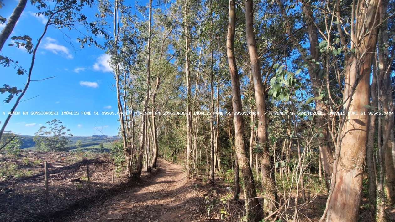 Sítio à venda com 2 quartos, 96000m² - Foto 5