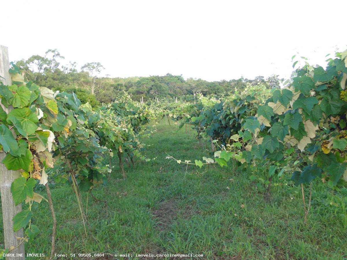 Fazenda à venda com 2 quartos, 180000m² - Foto 11