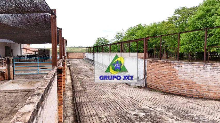 Fazenda, 208 hectares - Foto 11