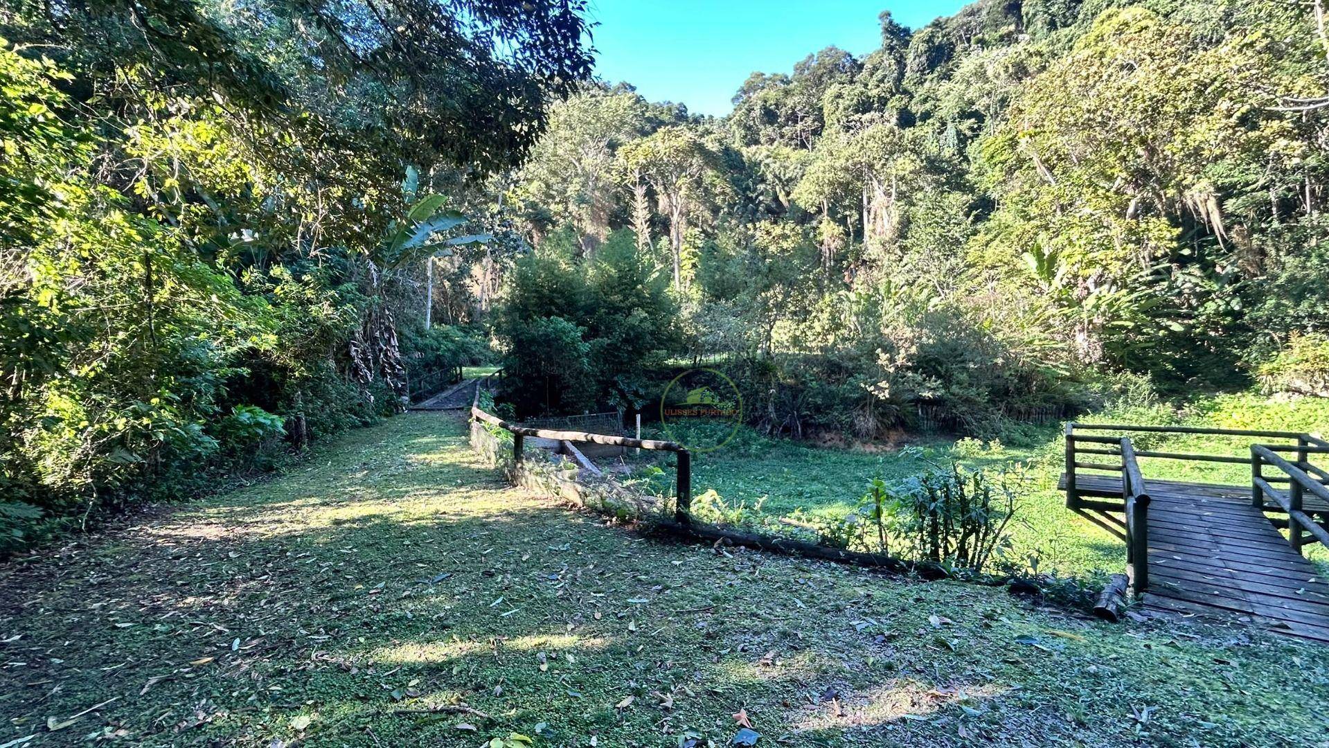 Sítio, 14 hectares - Foto 11