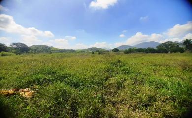 Sítio à venda com 3 quartos, 31000m² - Foto 2