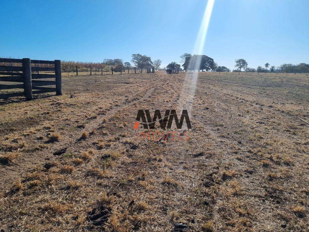 Fazenda à venda, 1250000M2 - Foto 15