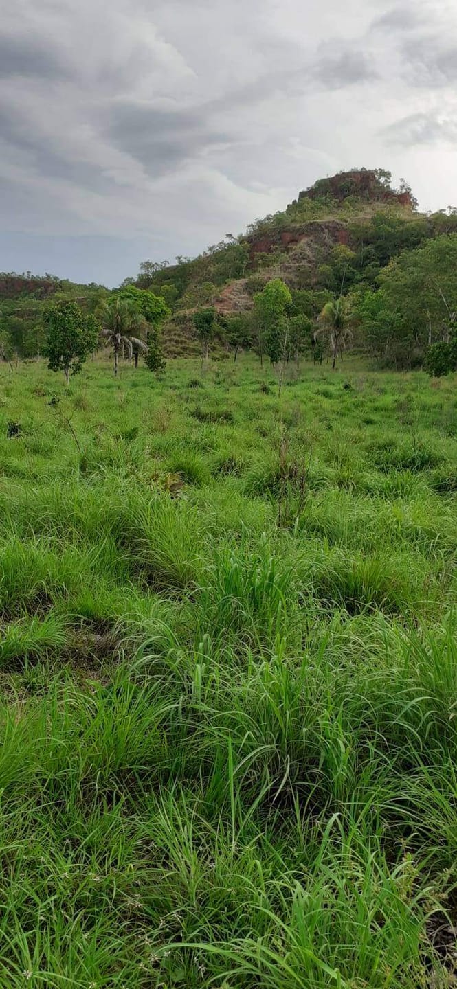 Fazenda à venda com 3 quartos, 10m² - Foto 9