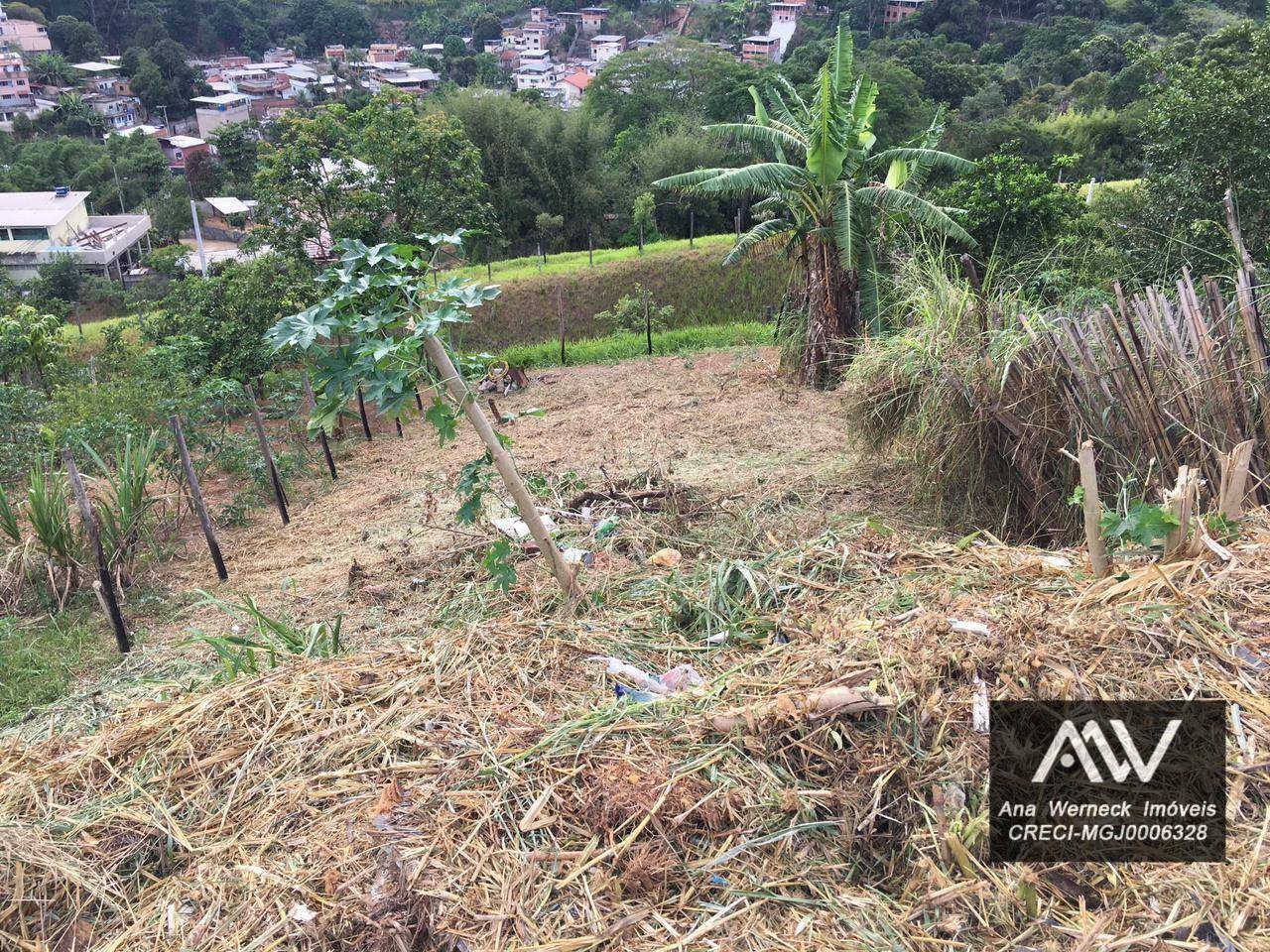 Loteamento e Condomínio à venda, 240M2 - Foto 1