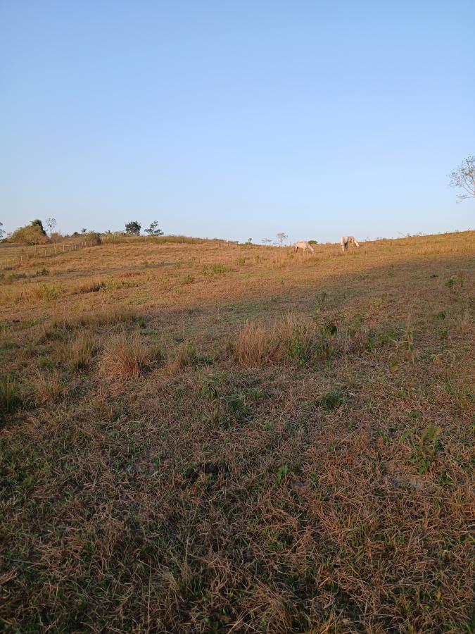 Fazenda à venda com 2 quartos, 146000m² - Foto 18