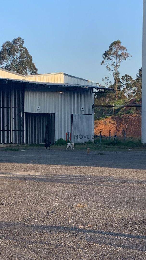 Depósito-Galpão-Armazém à venda e aluguel, 4000m² - Foto 5