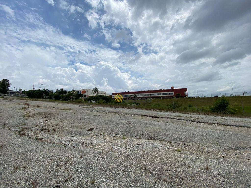 Terreno, 6 hectares - Foto 14