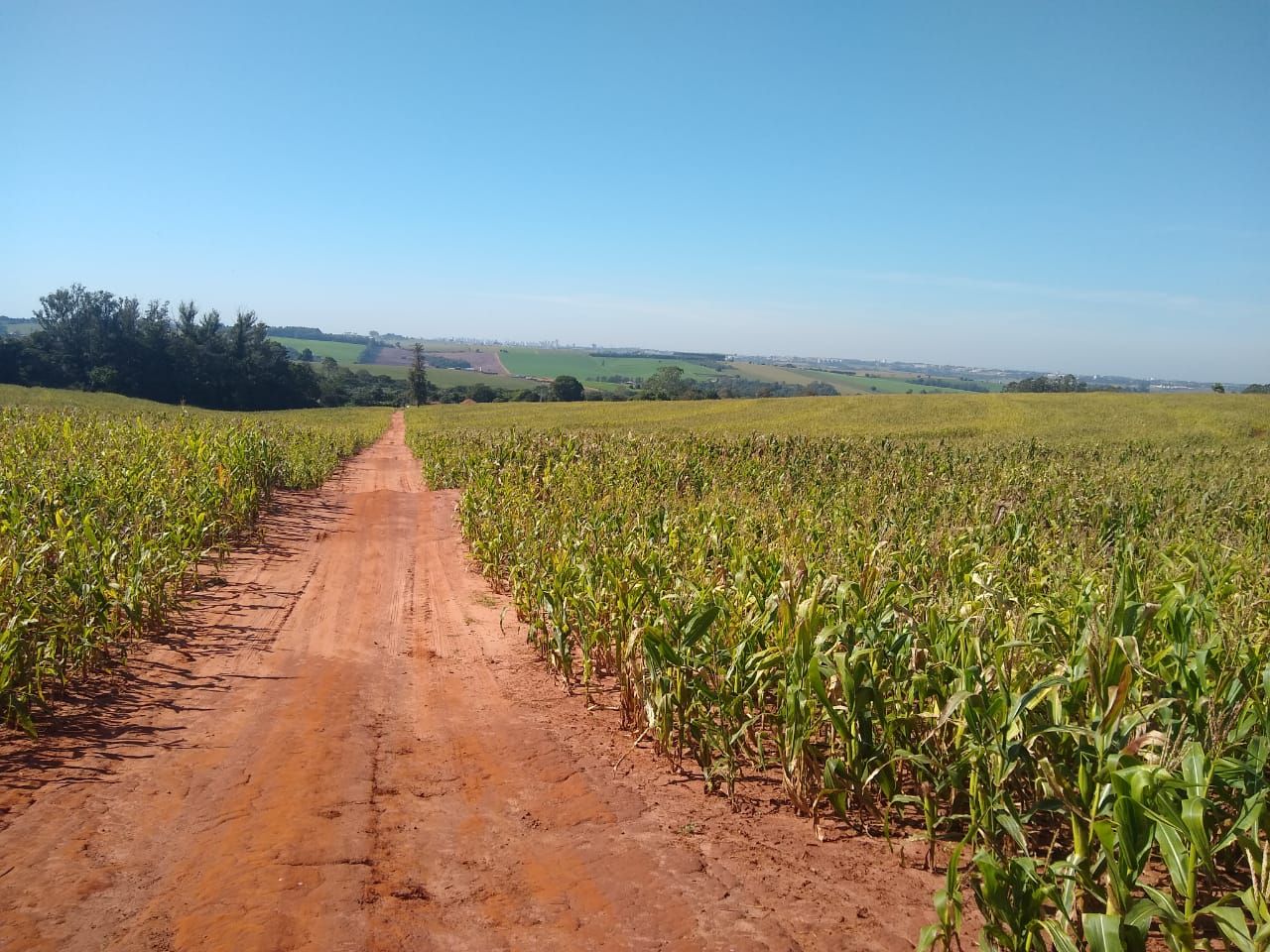 Terreno à venda, 181500M2 - Foto 1