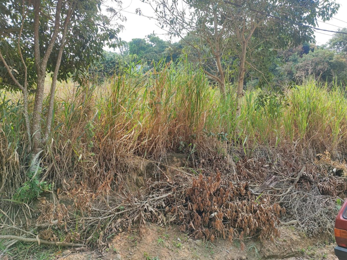 Terreno à venda, 480m² - Foto 1