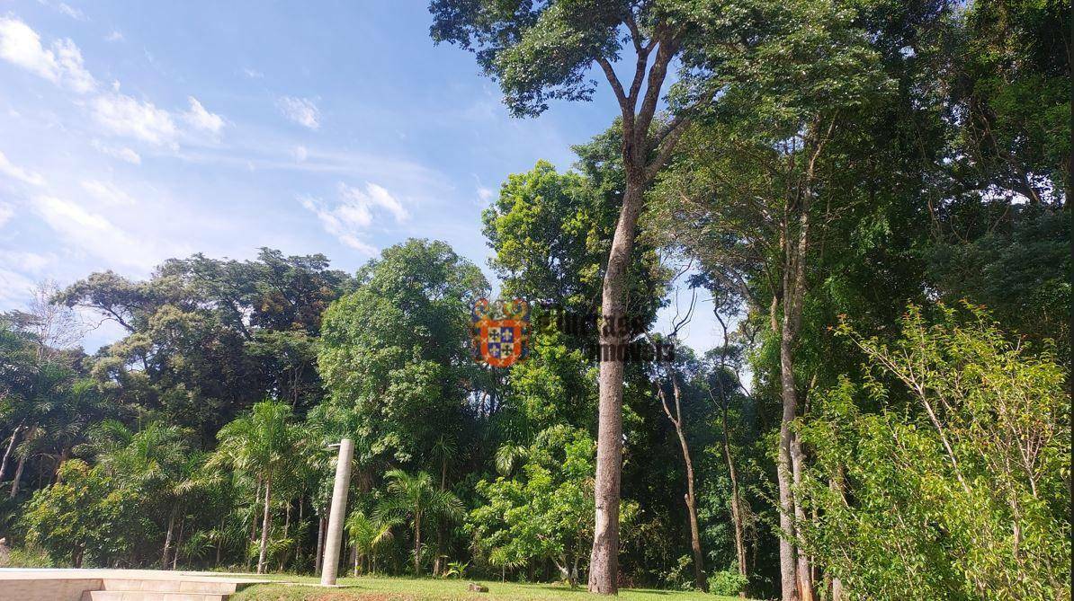 Chácara à venda com 2 quartos, 4000M2 - Foto 12