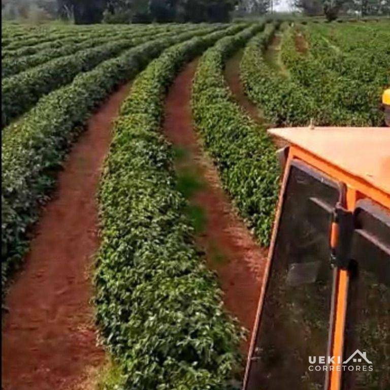 Fazenda à venda, 2420000M2 - Foto 2