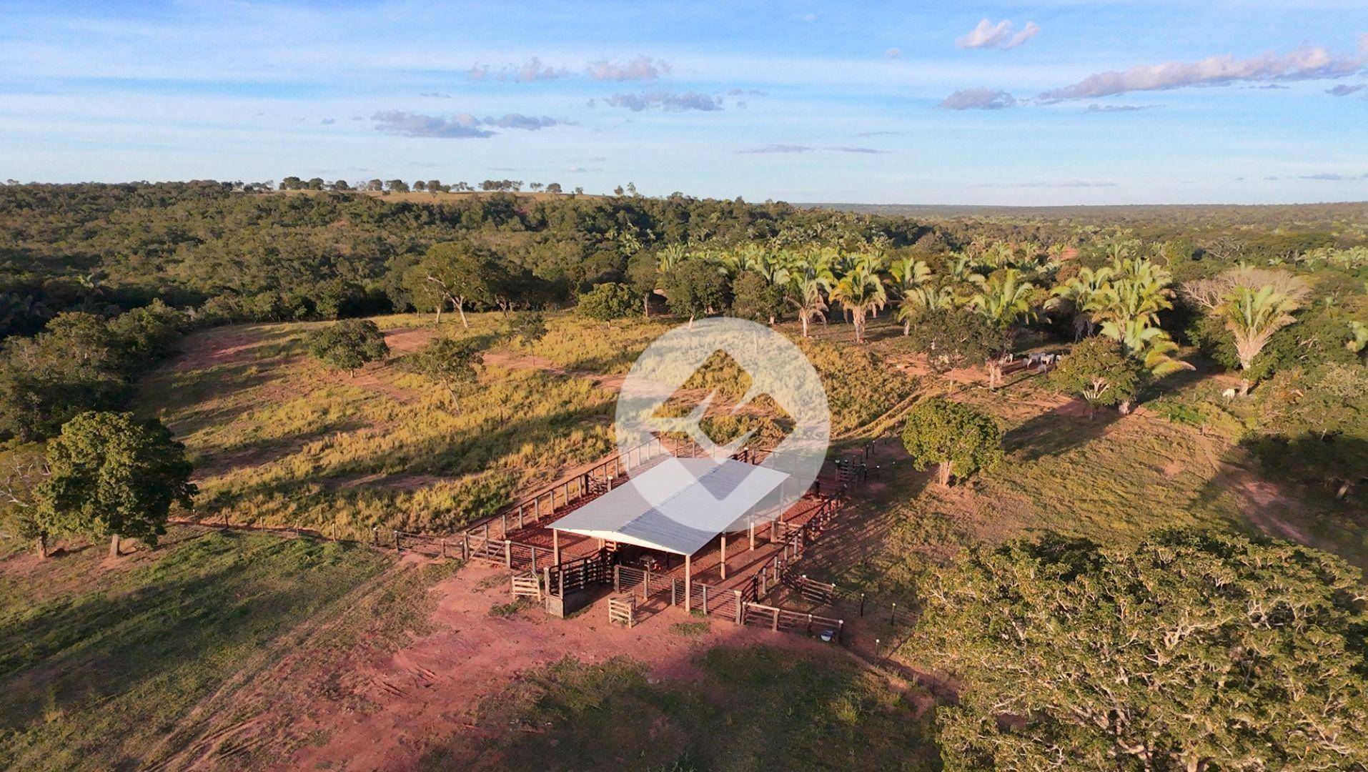 Fazenda à venda, 2500000M2 - Foto 11