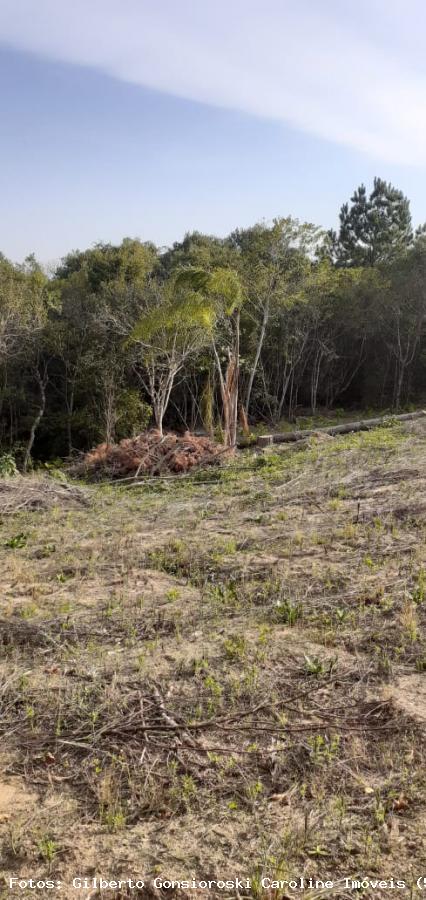 Loteamento e Condomínio à venda, 50000m² - Foto 15