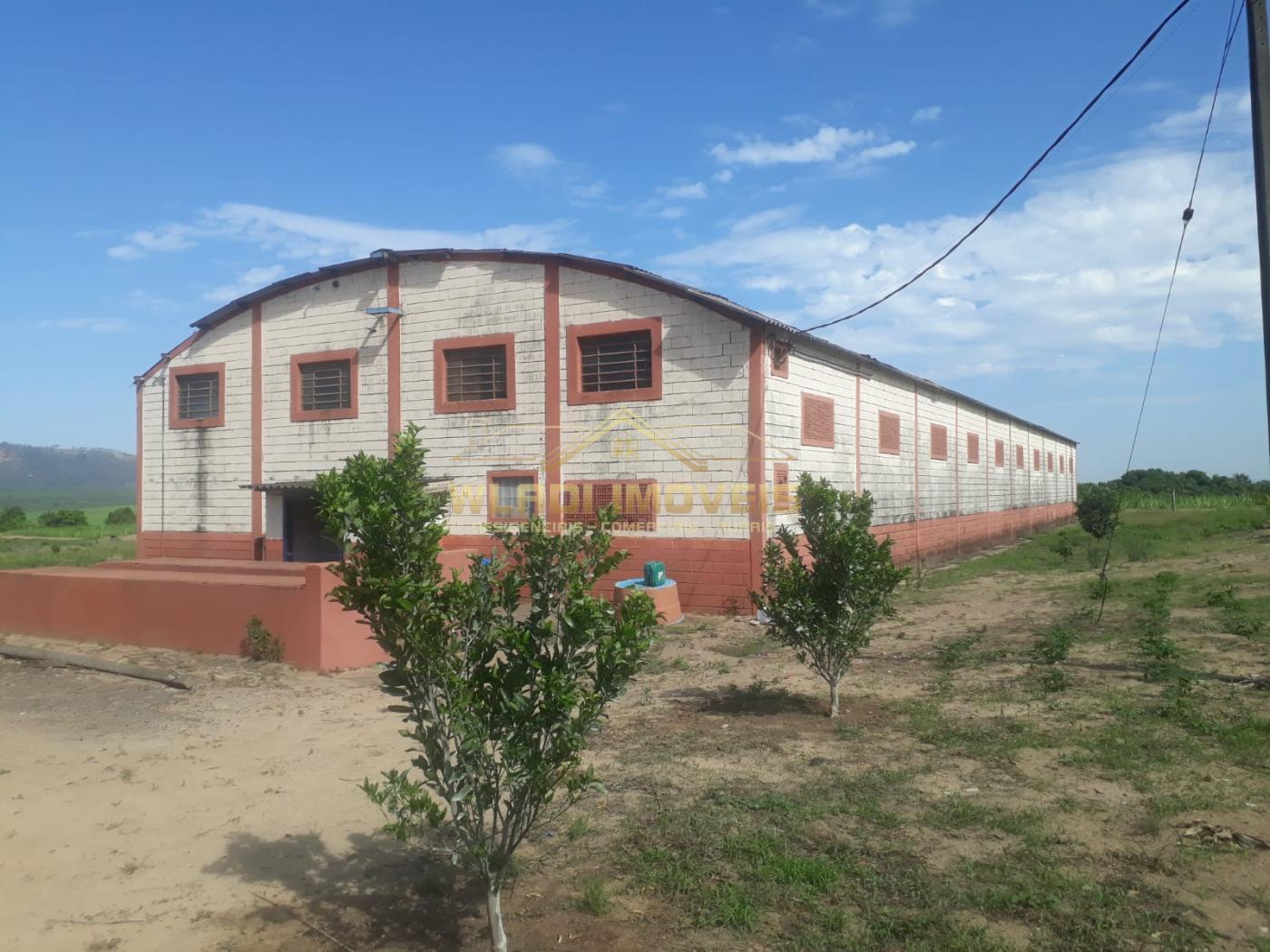 Fazenda à venda, 120m² - Foto 6