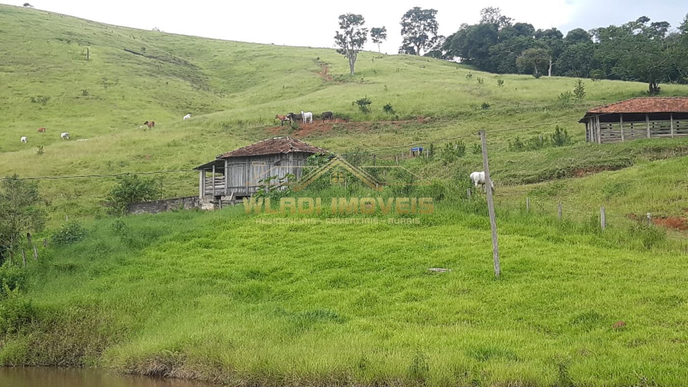 Fazenda à venda, 13m² - Foto 8