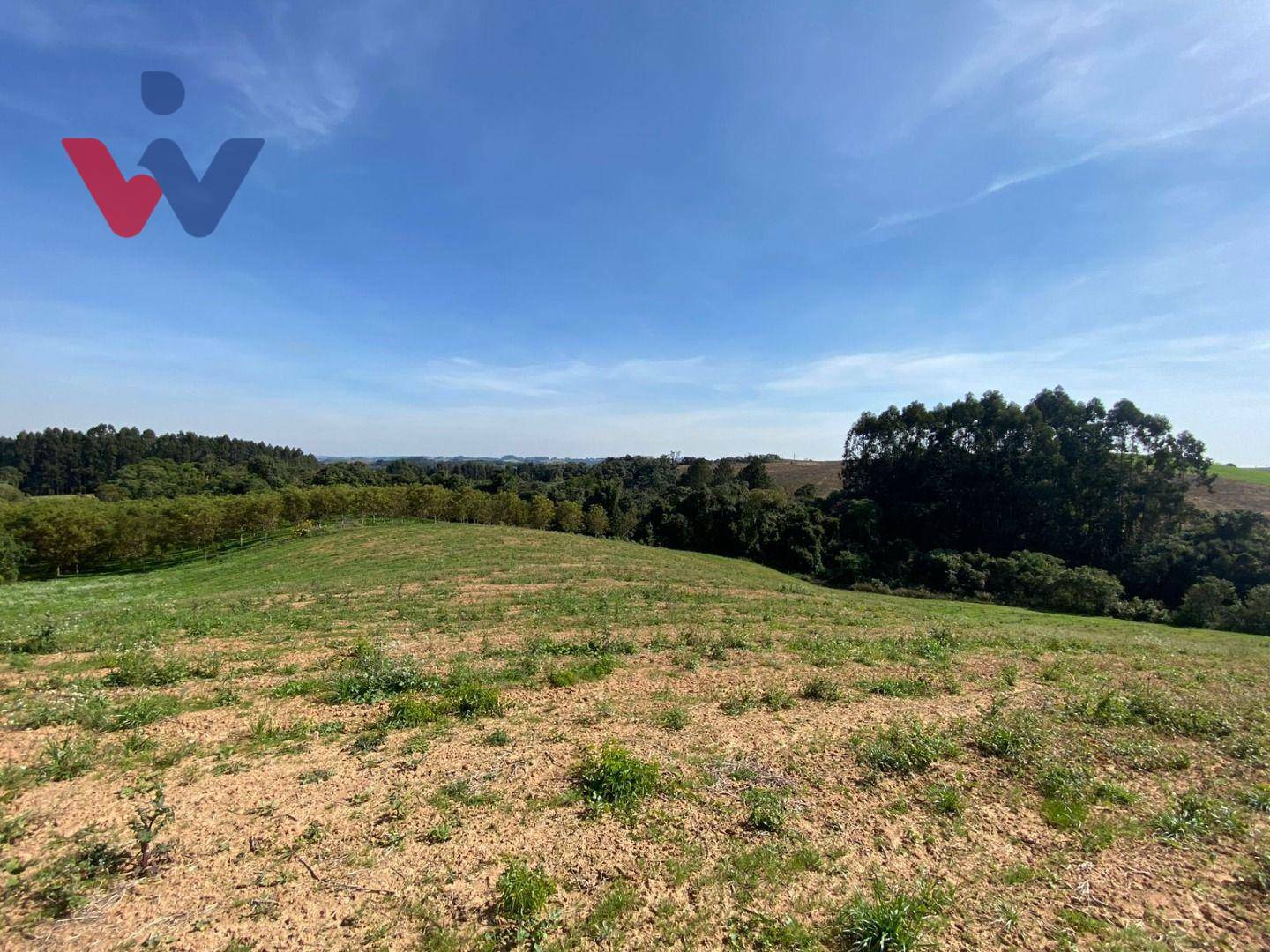 Chácara à venda com 1 quarto, 47270M2 - Foto 9