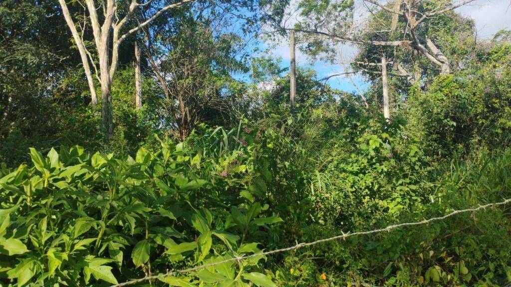 Terreno, 2000 m² - Foto 6