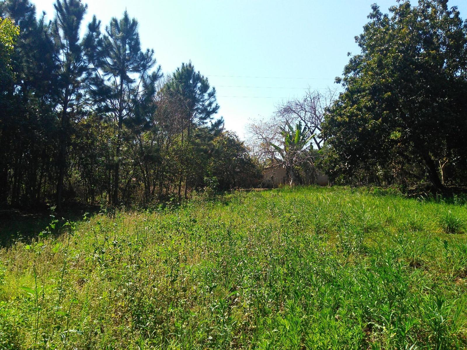 Fazenda à venda, 12500m² - Foto 4