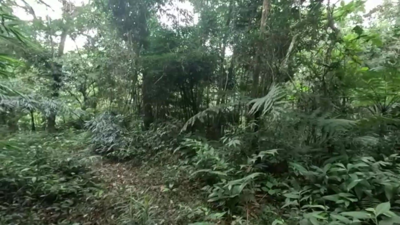 Casa de Condomínio à venda com 2 quartos, 7000m² - Foto 28