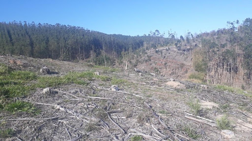 Terreno à venda, 144000M2 - Foto 16