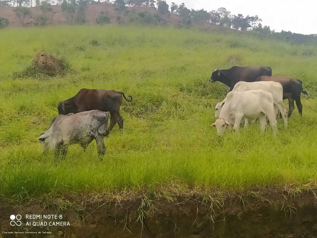 Chácara à venda com 2 quartos, 96800m² - Foto 13