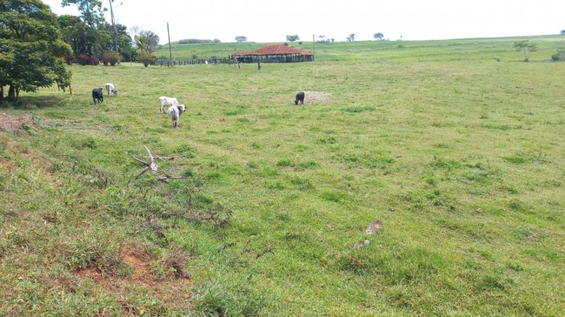 Fazenda à venda, 90m² - Foto 6