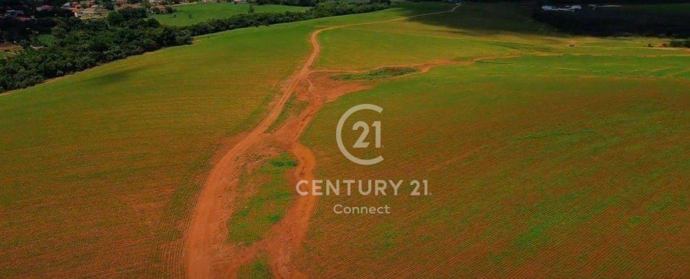 Fazenda-Sítio-Chácara, 237 hectares - Foto 7