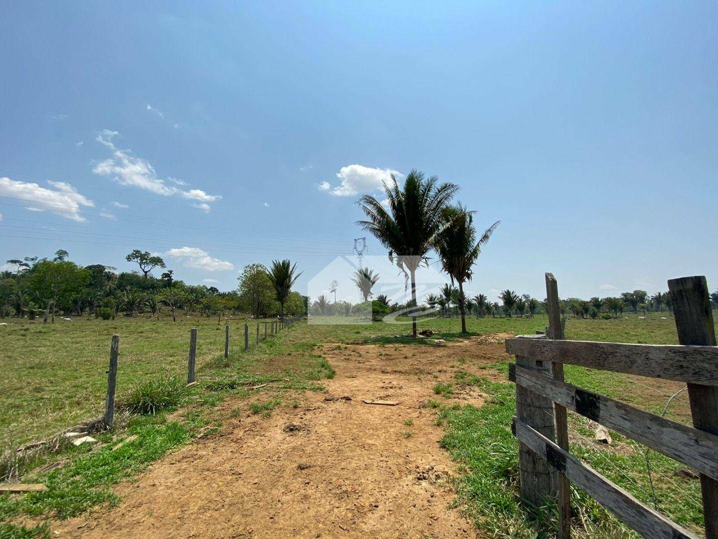 Fazenda à venda com 3 quartos, 2420000M2 - Foto 14