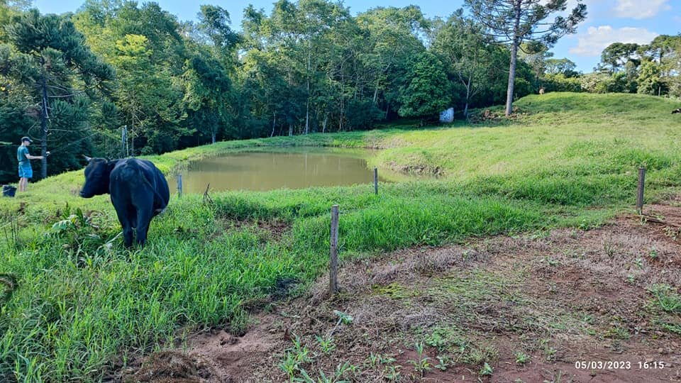 Fazenda à venda com 3 quartos, 17000m² - Foto 10