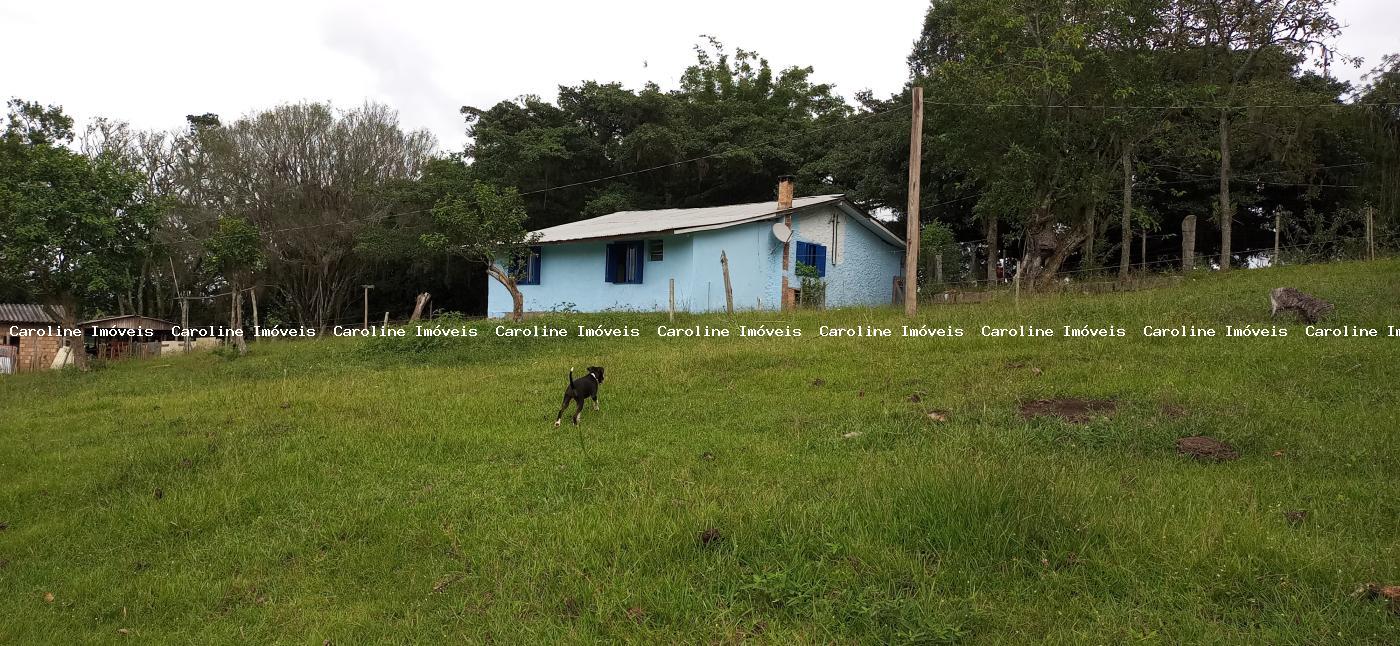 Sítio à venda com 2 quartos, 220000m² - Foto 13