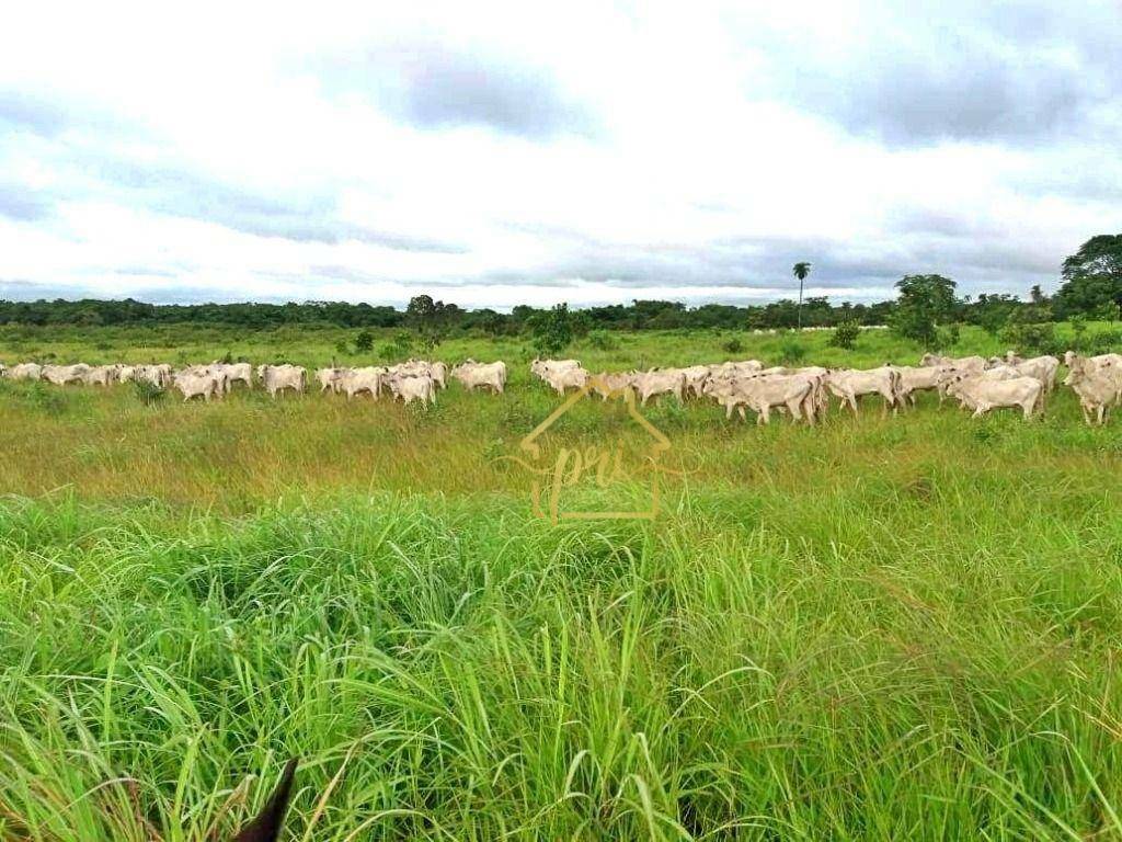 Fazenda à venda com 3 quartos, 250m² - Foto 34