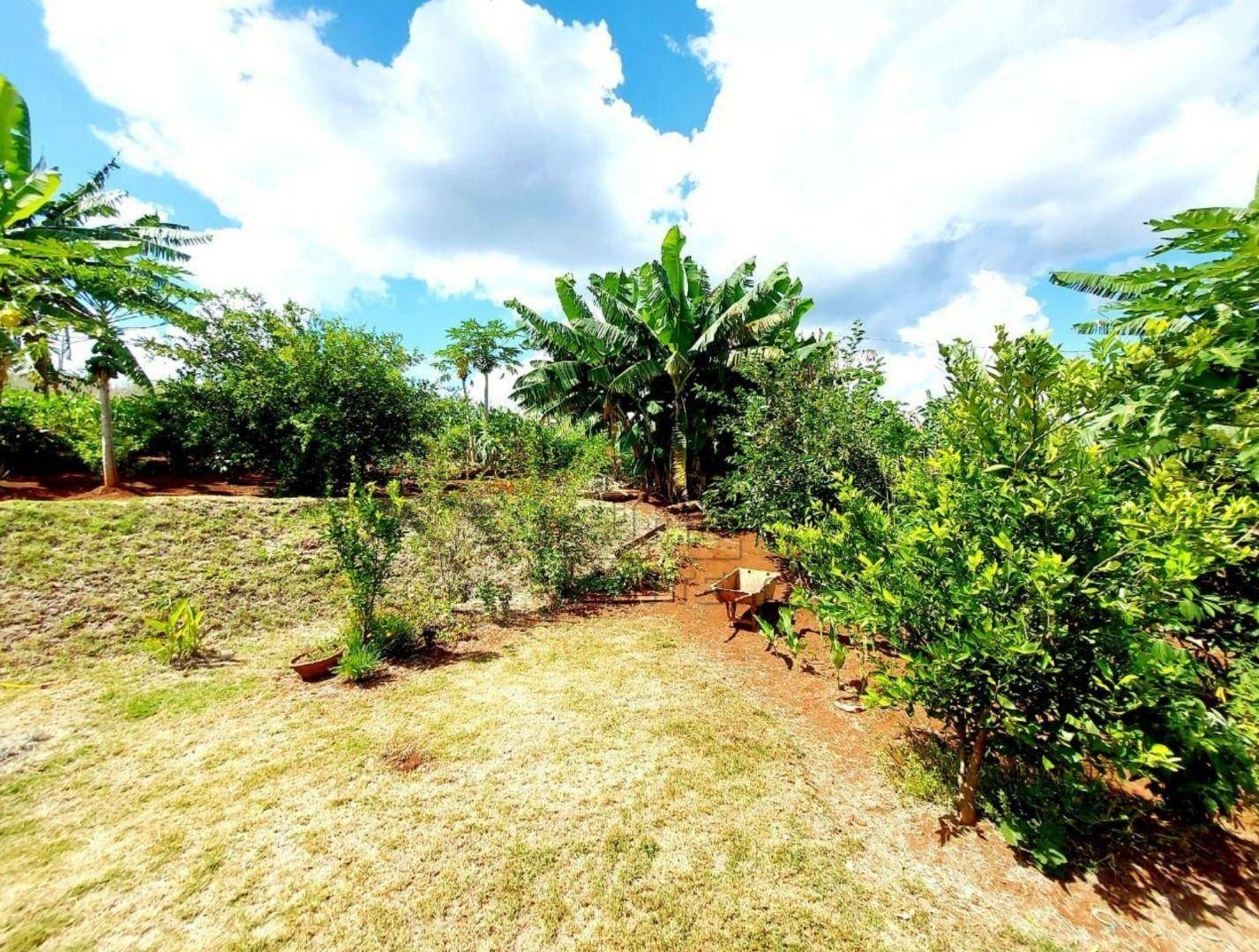 Chácara à venda com 4 quartos, 1000M2 - Foto 3