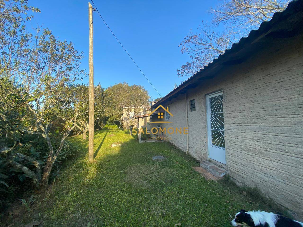 Sítio, 13 hectares - Foto 30