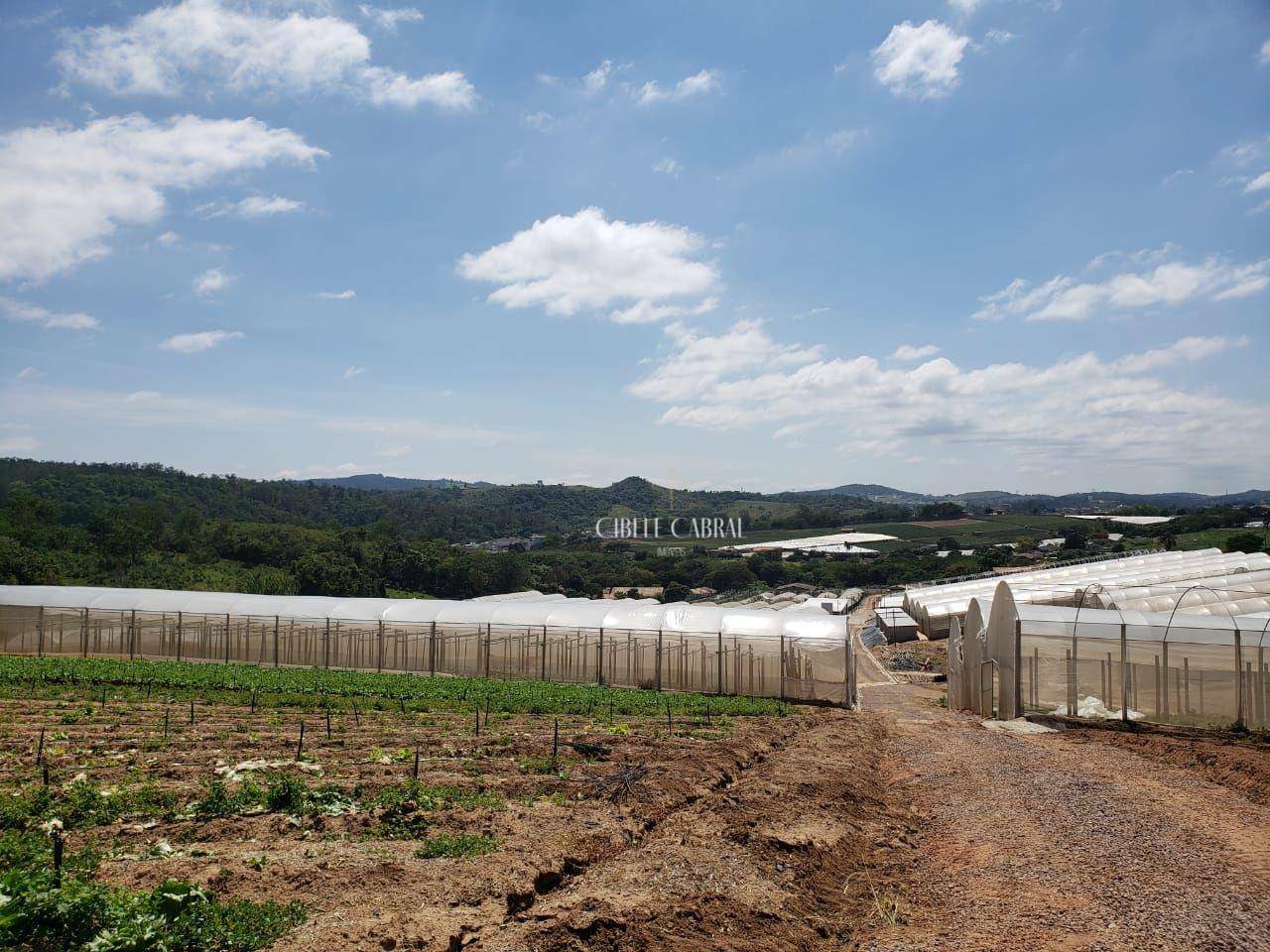 Terreno à venda, 84000M2 - Foto 6