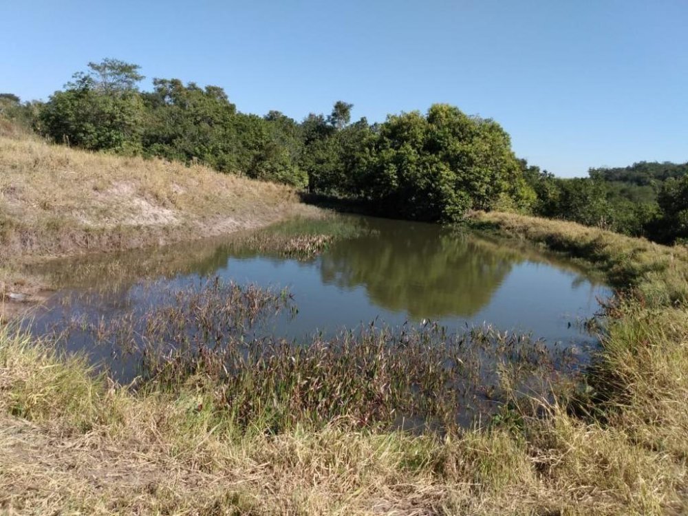 Sítio, 41 hectares - Foto 9