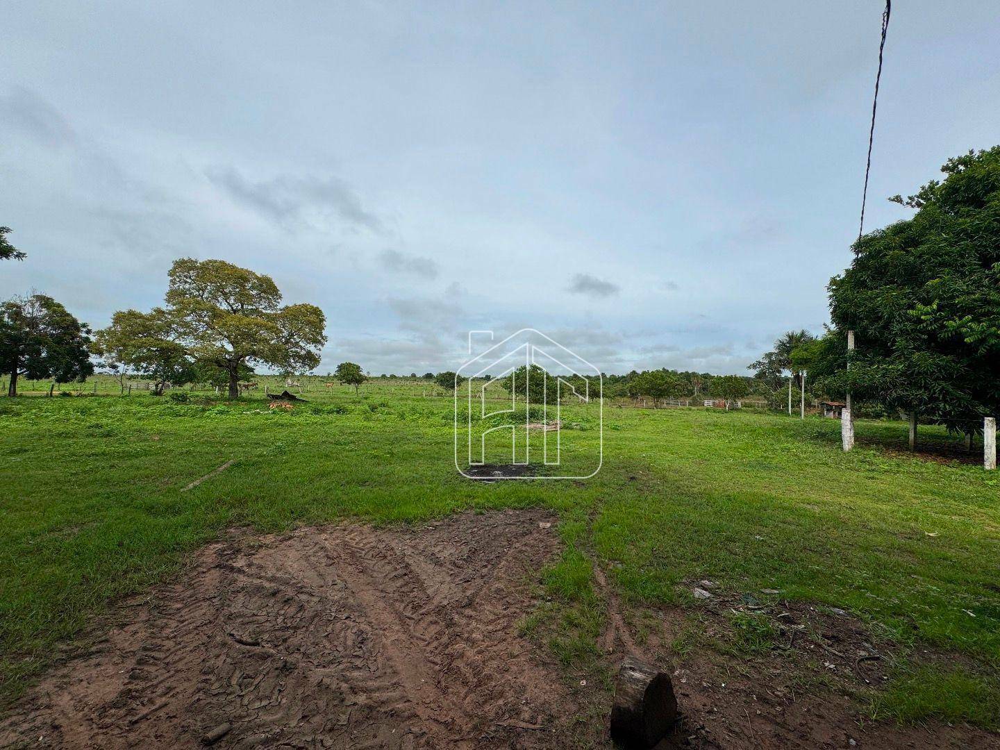 Fazenda à venda com 3 quartos, 26600000M2 - Foto 7