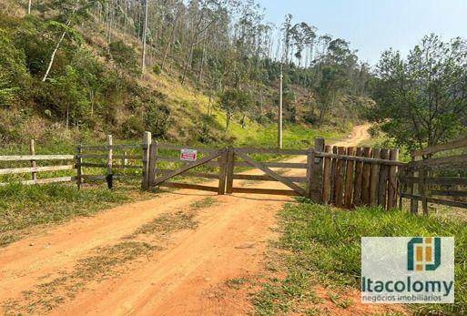 Fazenda à venda com 6 quartos, 680m² - Foto 13