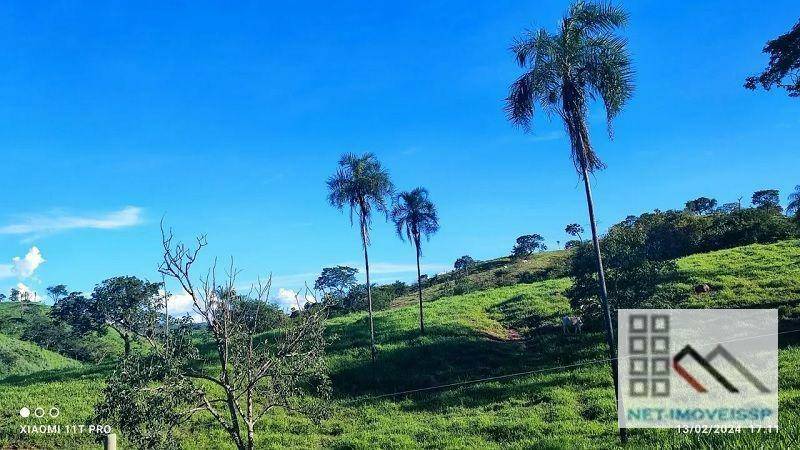 Fazenda à venda, 500m² - Foto 12