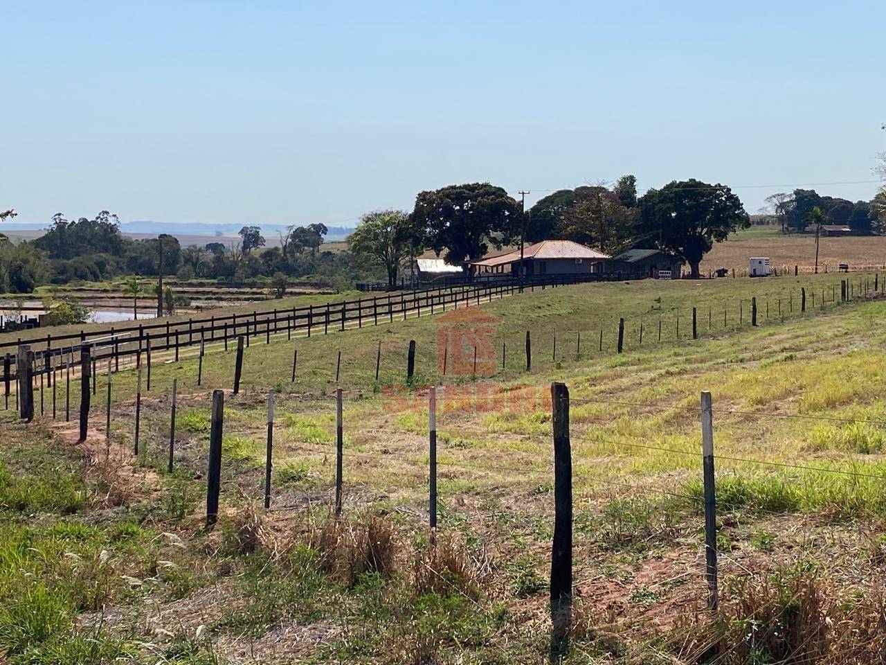 Sítio, 2 hectares - Foto 39