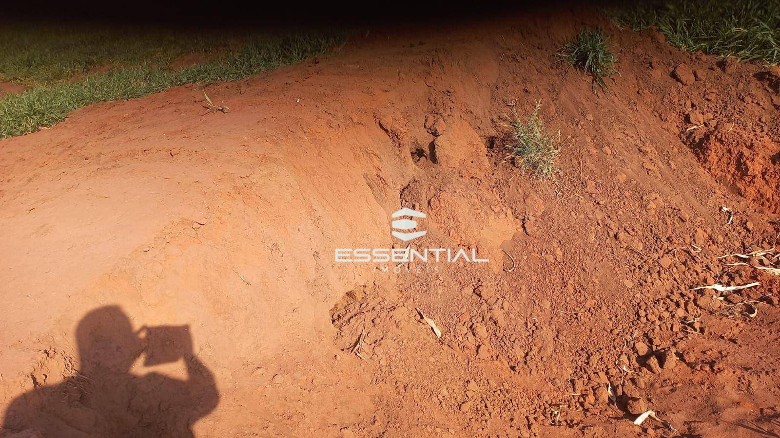 Fazenda, 1143 hectares - Foto 4