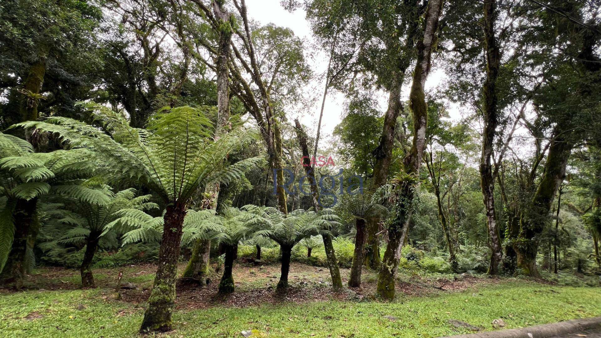 Loteamento e Condomínio à venda, 1024M2 - Foto 10