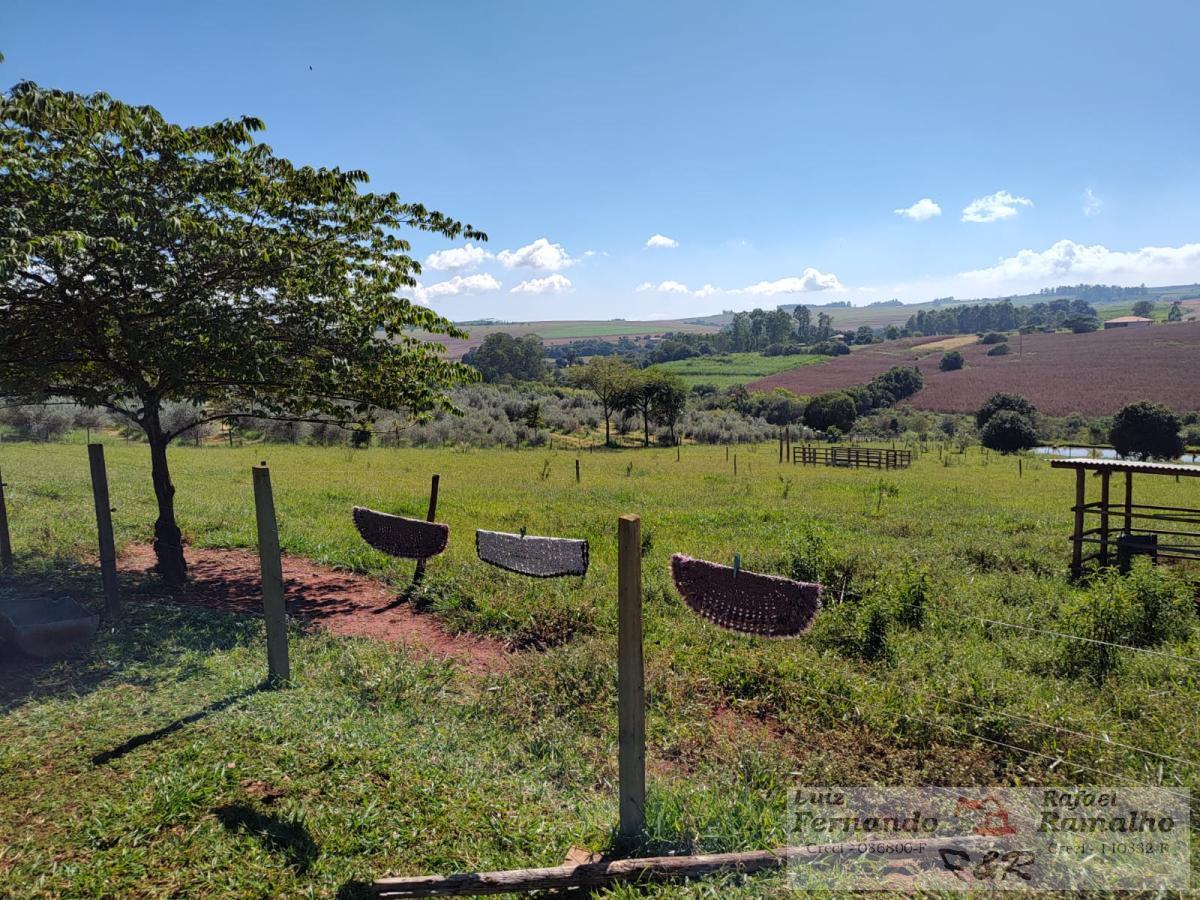 Fazenda à venda com 2 quartos, 20000m² - Foto 23